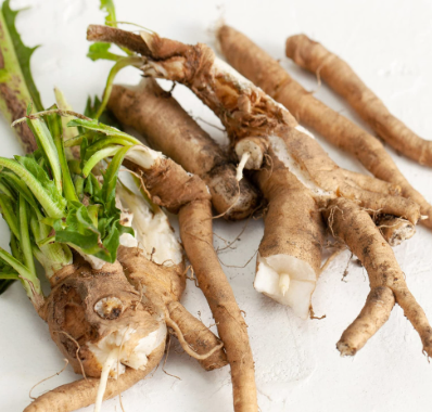 Chicory root inulin